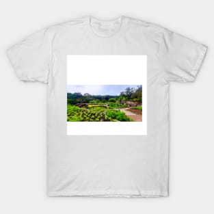 japanese garden in houston tx in color landscape photograph T-Shirt